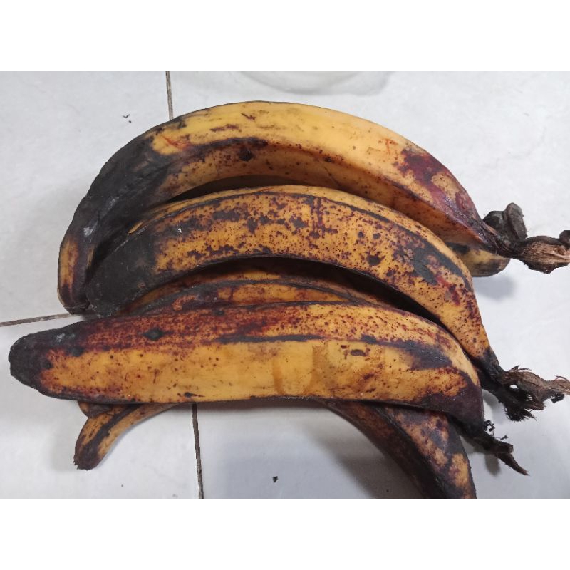 

Pisang Tanduk | pisang tanduk matang | Pisang per Buah | Tanduk | pisang tanduk bandung