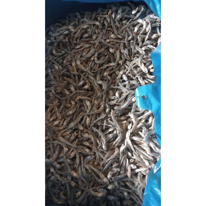 

ikan teri asli mandeh