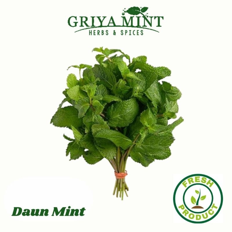 

Daun Mint Fresh 250g/ 500g/ 1 kg