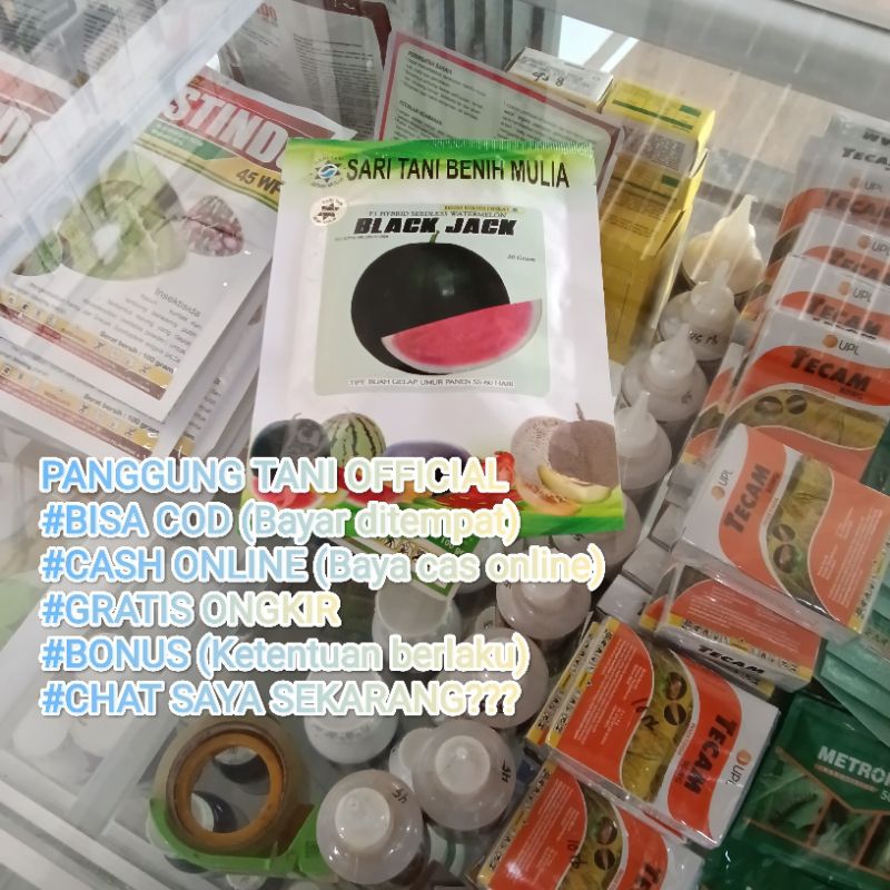 Benih Bibit Semangka Non Biji Jumbo Black Jack F1 (Tahan Simpan, Kulit Tebal Hijau Gelap dan Produks
