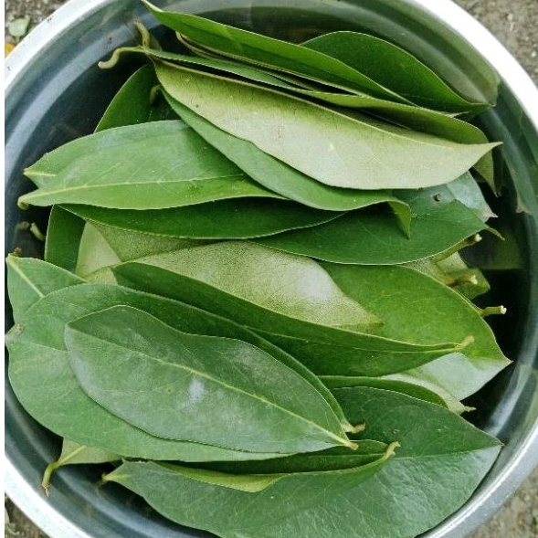 

daun sirsak fresh (200g)