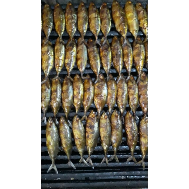 

ikan asap layang pemalang