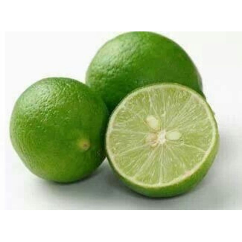 

Jeruk Nipis Lokal