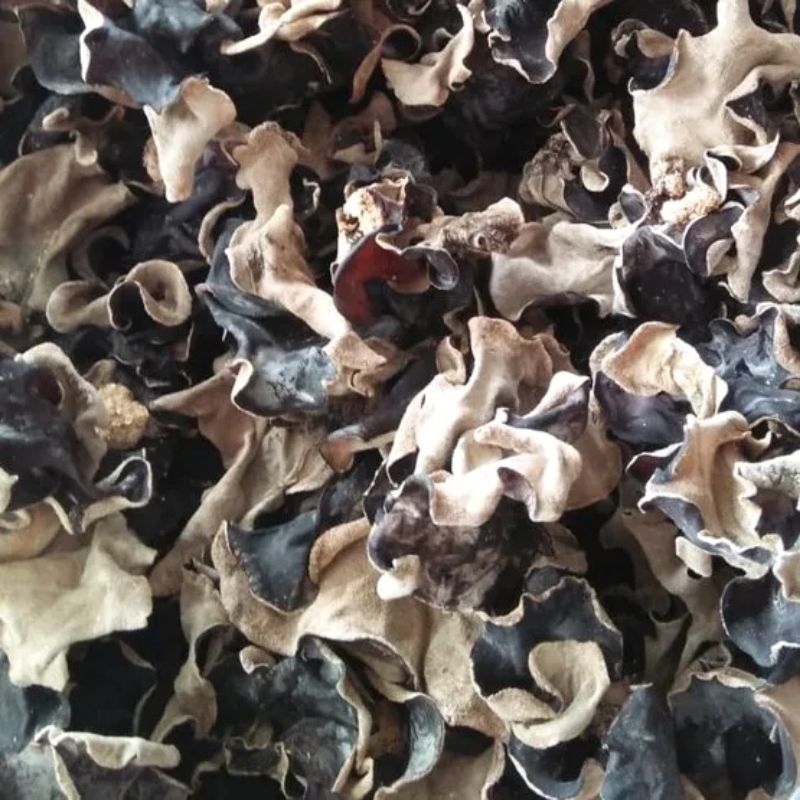 

Jamur Kuping Kering 100gr