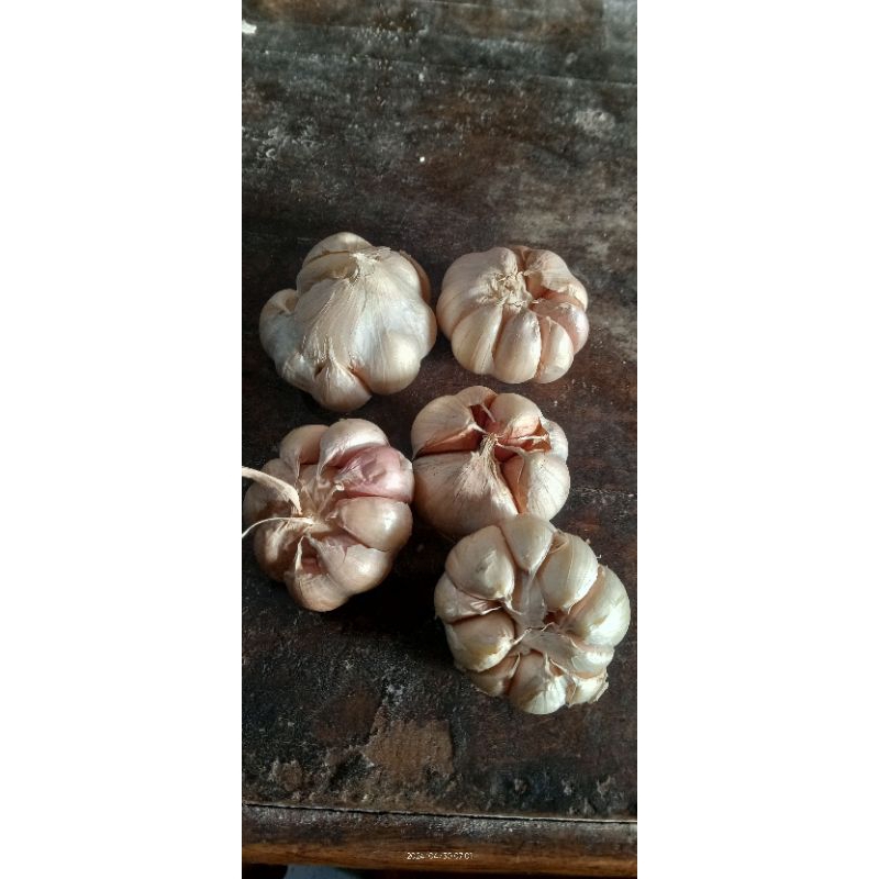 

bawang putih super one garlic 1kg