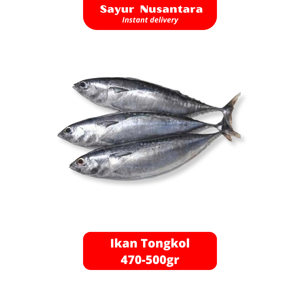 

Ikan Tongkol Fresh Frozen 470-500gr - Sayur Nusantara