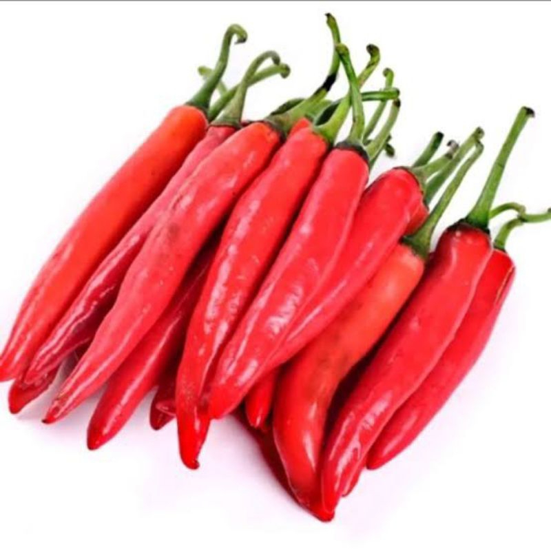 

CABAI MERAH TW BESAR FRESH GOOD QUALITY FRESH SAYURAN SEGAR