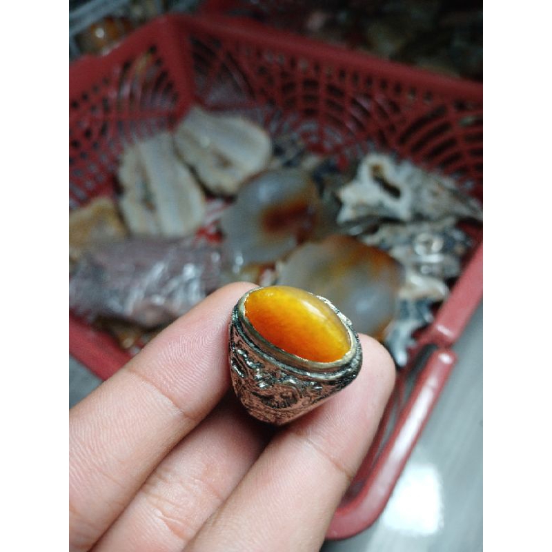 pandan nanas sisik betik