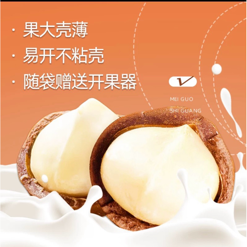 

Kacang macadamia
