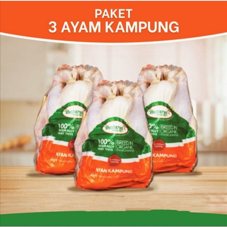 

Paket 3 Ayam Kampung Probiotik Natural Poultry