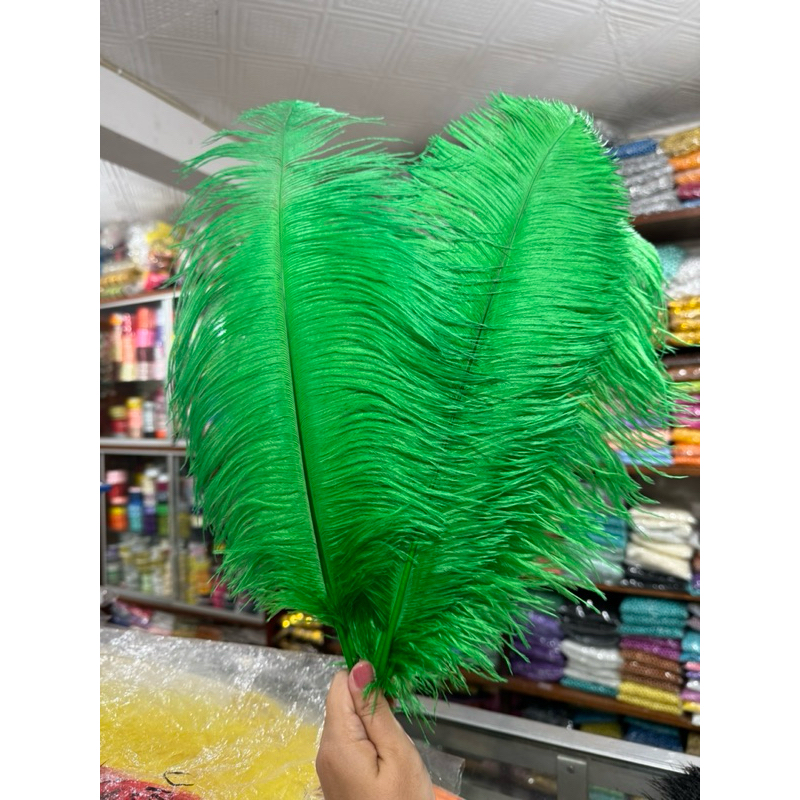 [1 helai] Bulu Kemucing / Bulu Drumband / Bulu Mayoret  -+45 cm / Bulu Fantasi /Ostrich Feather