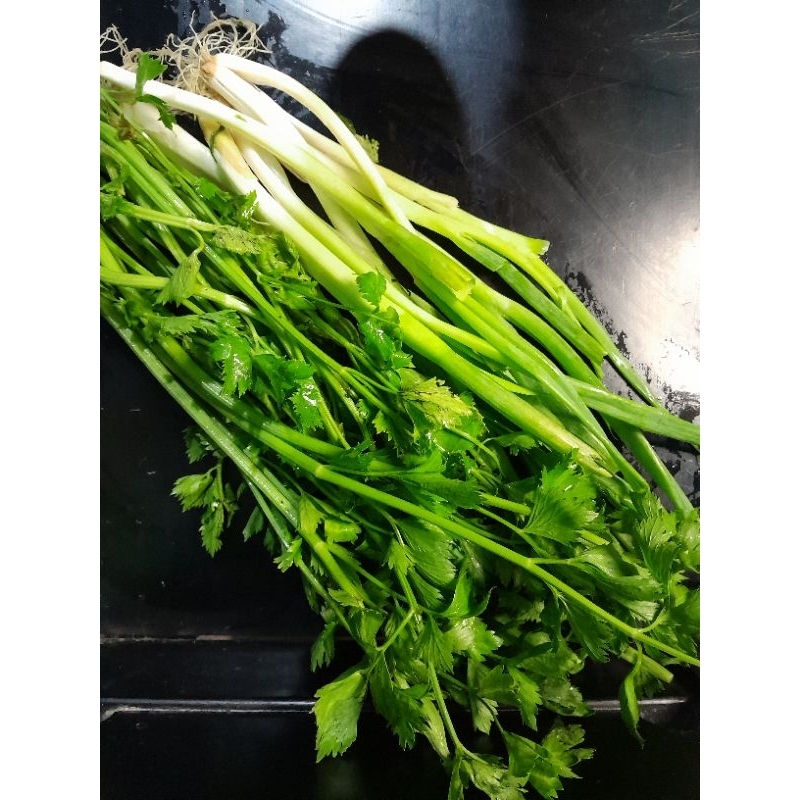 

seledri,daunbawang,paket