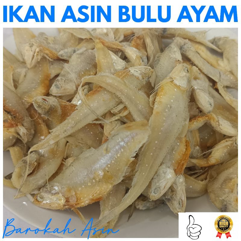 

!!! TERBARU !!! IKAN ASIN BULU AYAM TERMURAH 250 gr | 500 gr | 1 Kg