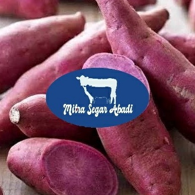 

D2289 Ubi Ungu Jepang Satsumaimo 1KG