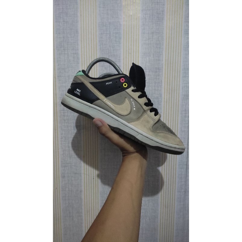 Sb Dunk low pro Camcorder
