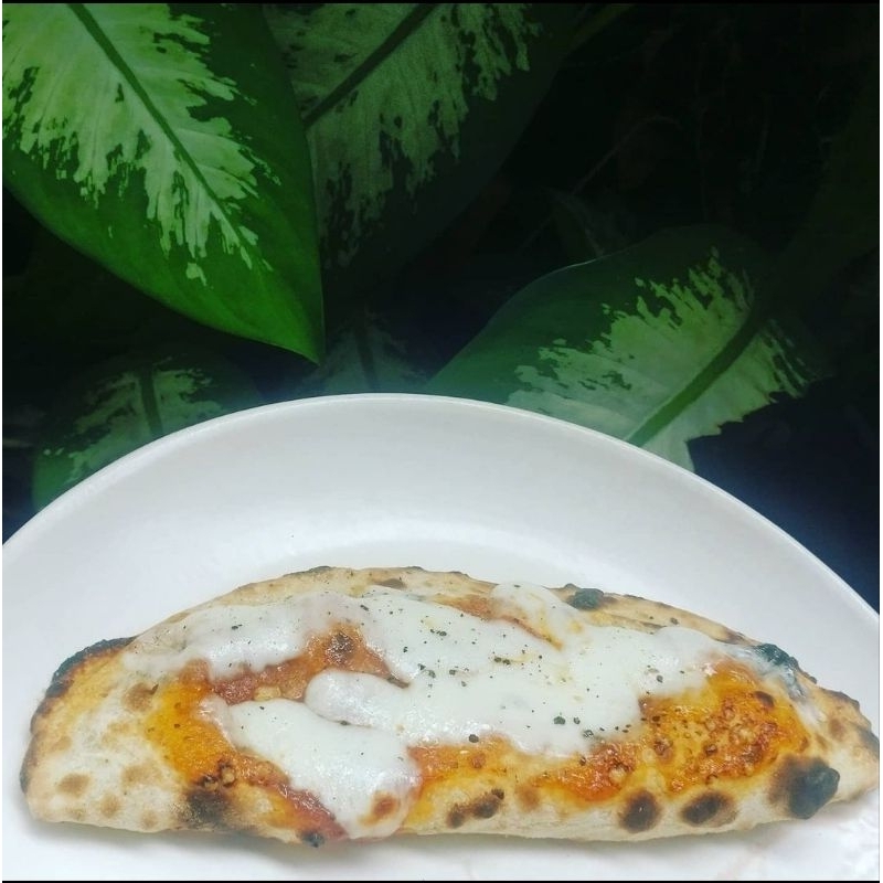 

Pizza Calzone/ pizza lipat