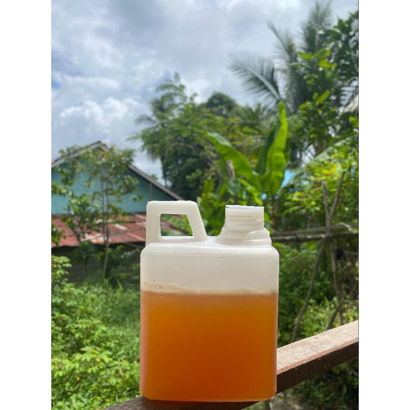 

madu asli Kalimantan Barat