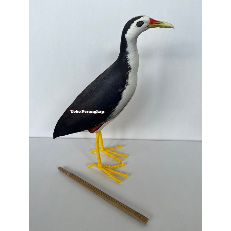 Patung Burung Ruak Ruak Kareo Padi - Jontrot Ruakruak