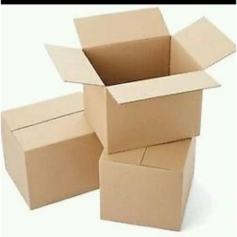 

kardus packing ukuran PxLxT 20x11x11cm