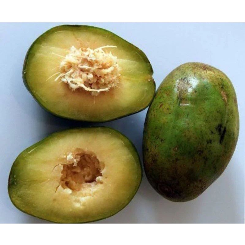 

BUAH KEDONDONG/DONDONG SEGARRR MURAHHH 1KG