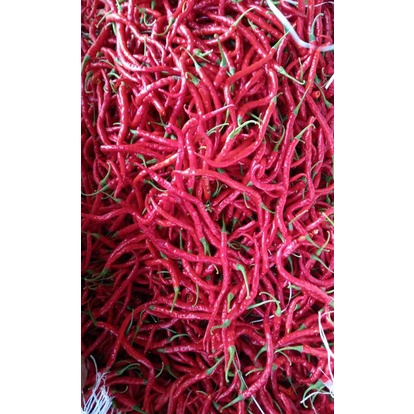 

GROSIR Cabe Cabai KRITING MERAH Segar KG