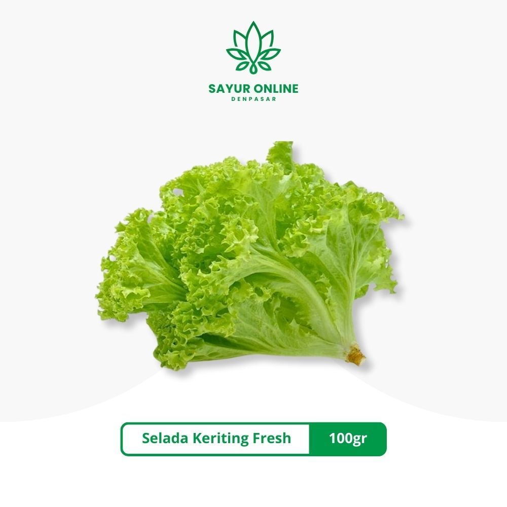 

Selada Keriting Fresh 100gr - Sayur Online Denpasar