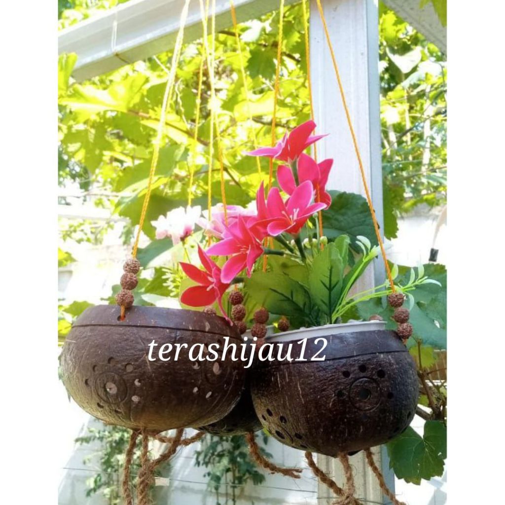 Pot batok kelapa gantung / pot hias gantung batok kelapa aesthetic