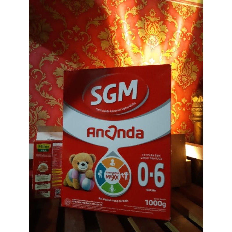 Susu SGM 0-6 bulan