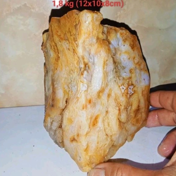 batu fosil kayu Cendana full kristal (463)