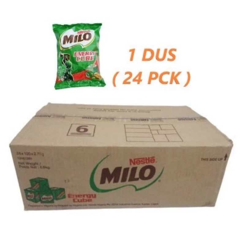 

MILO CUBE IMPORT 1 DUS (24 PACK) EXP JULI 2025