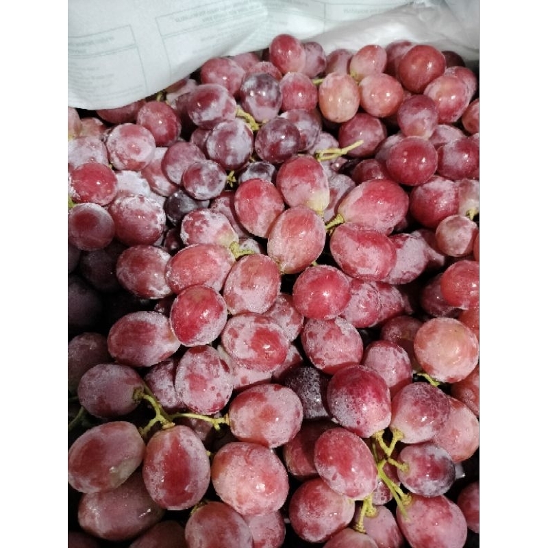 

Anggur merah (500 Gram)