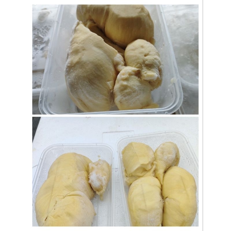 

Durian Montong Premium