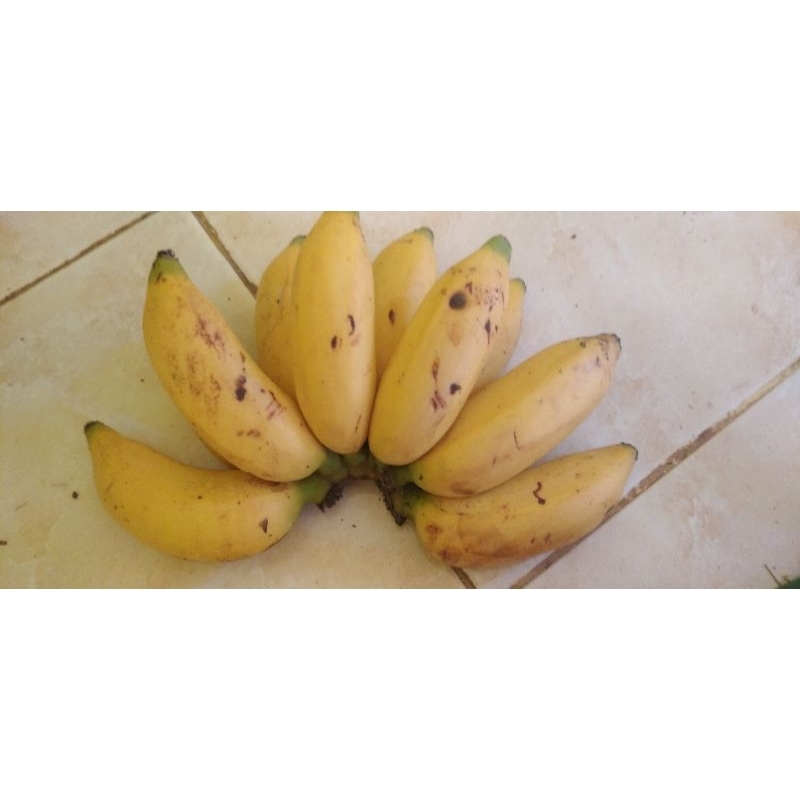 

Buah Pisang Berlin manis matang