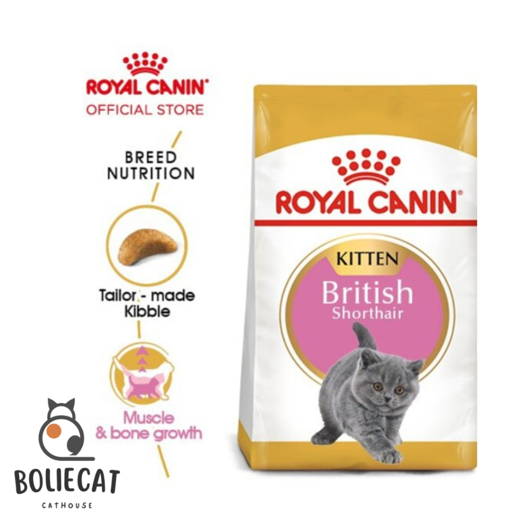 Royal Canin British Shorthair Kitten