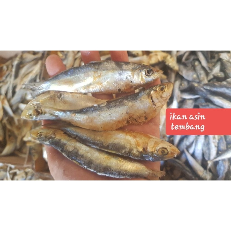 

ikan asin tembang