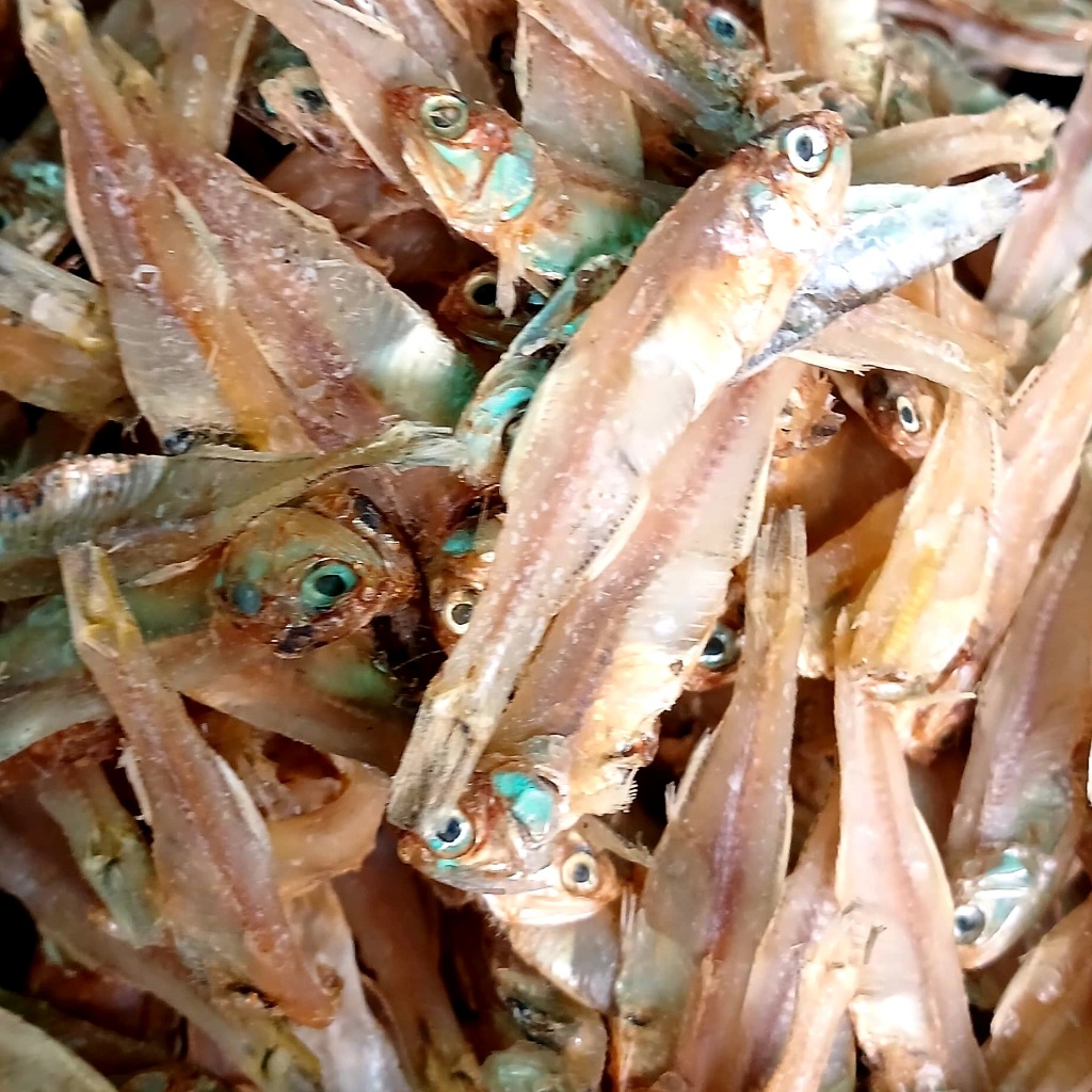 

Ikan teri tawar bunga