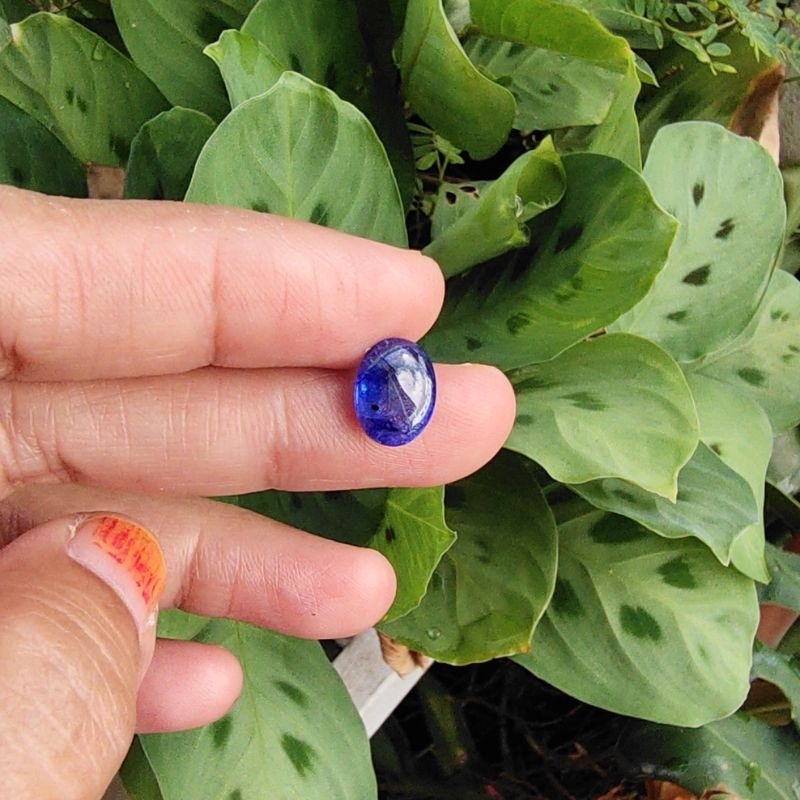 Natural Batu Permata Mulia Blue Sapphire Kating Bawah (A) / Batu Safir Asli