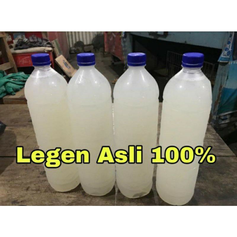 

legen asli tuban