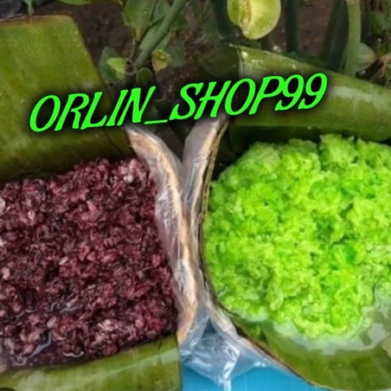 

Tape Ketan Original ,Hijau Dan Ketan Hitam Manis Legit 500 GR - 1000 GR