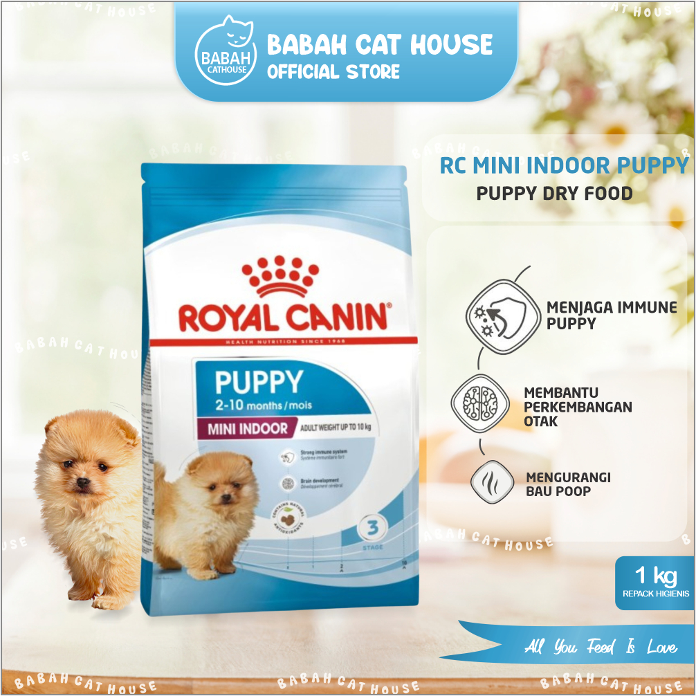 ROYAL CANIN MINI INDOOR PUPPY 1KG Makanan Anjing Anak Junior Dog Food Rc Small Breed Dry Kering Umur