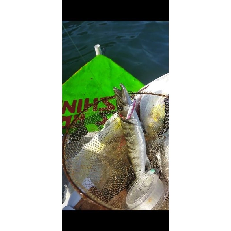 perahu mancing fiber satu orang