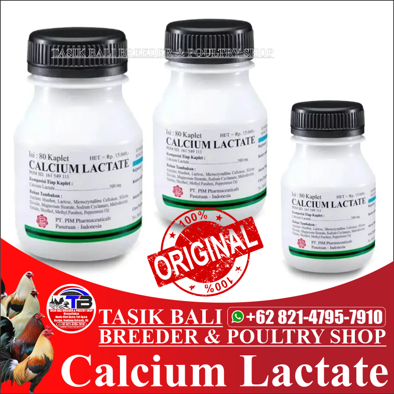 Calcium Lactate 500 mg 80 Tablet