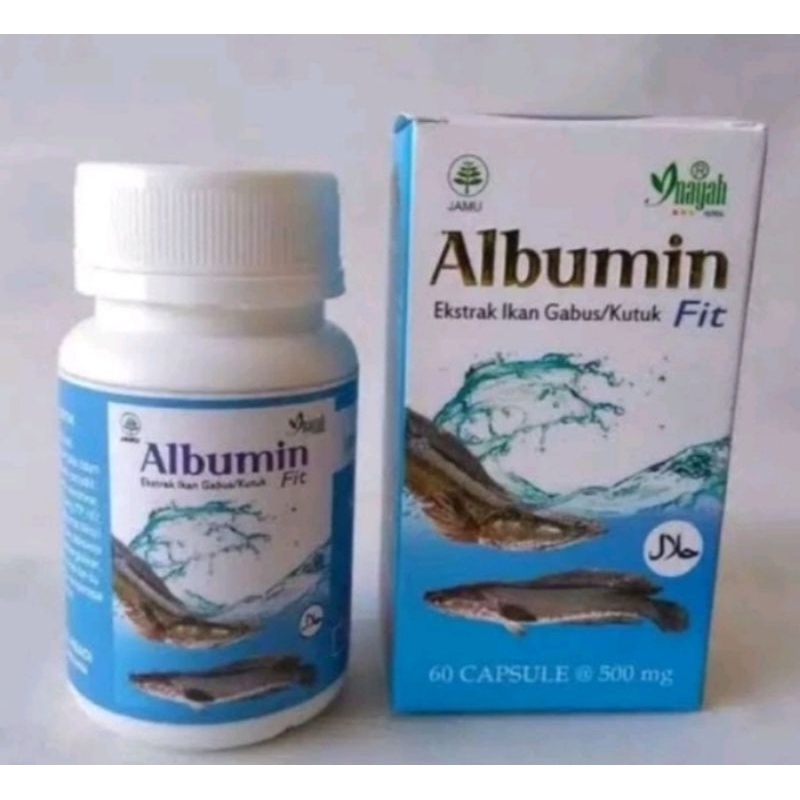 KAPSUL Fit ALBUMIN Inayah