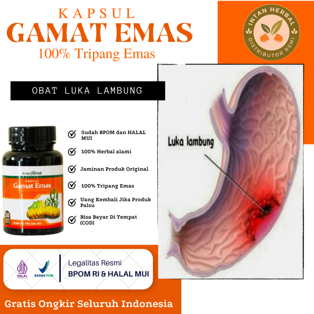 Obat Luka Lambung, Tukak Lambung, Radang Lambung, GERD, Asam Lambung, Maag Kronis, Infeksi Lambung, 