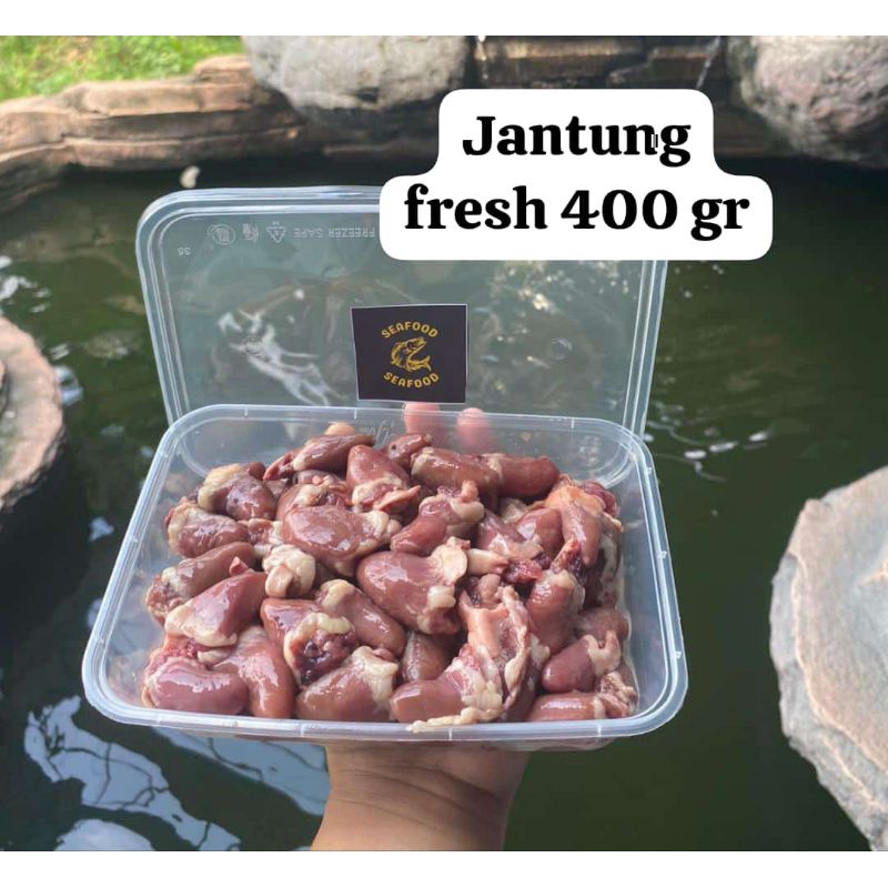 

JANTUNG AYAM FRESH 400 GRAM