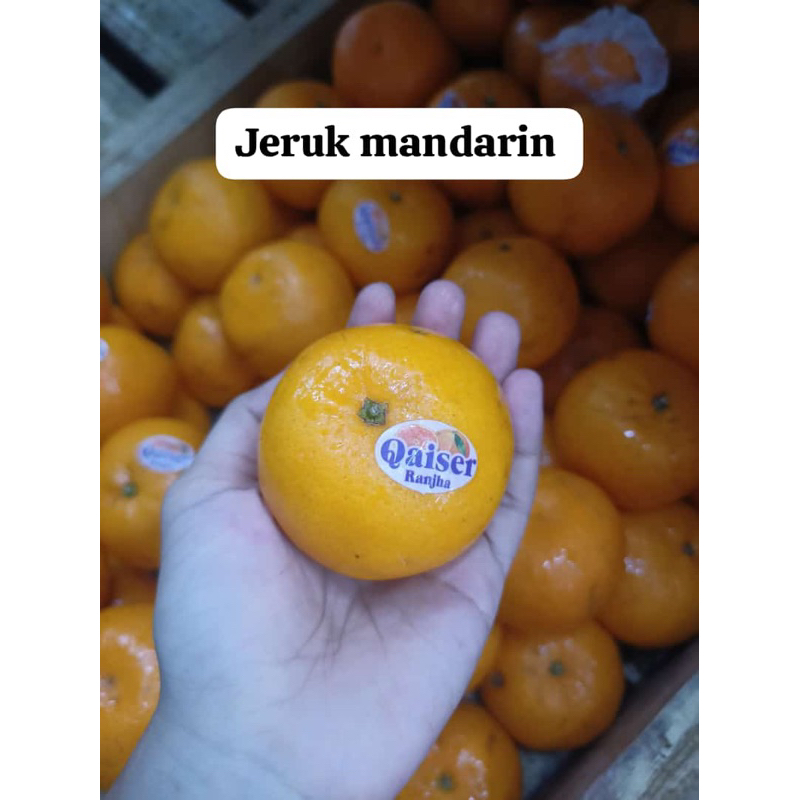 

buah jeruk mandarin