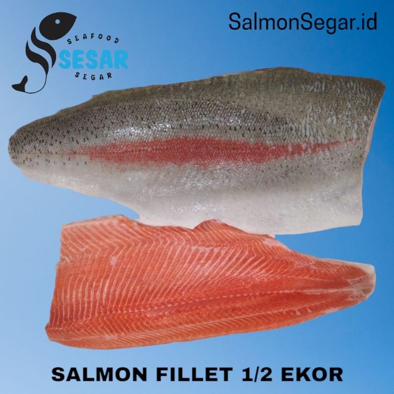 

Fillet Salmon Segar - Kualitas Sashimi Grade - Fillet Utuh