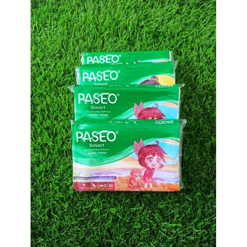 Tissue Paseo Travel pack