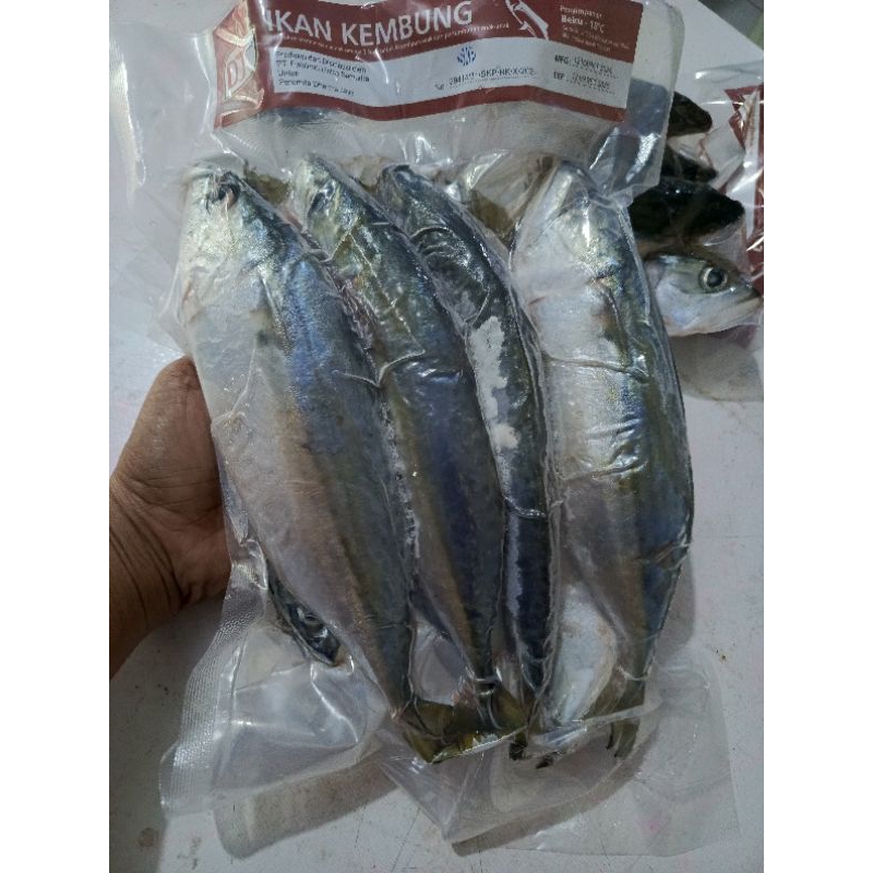 

Ikan Kembung 1 kg