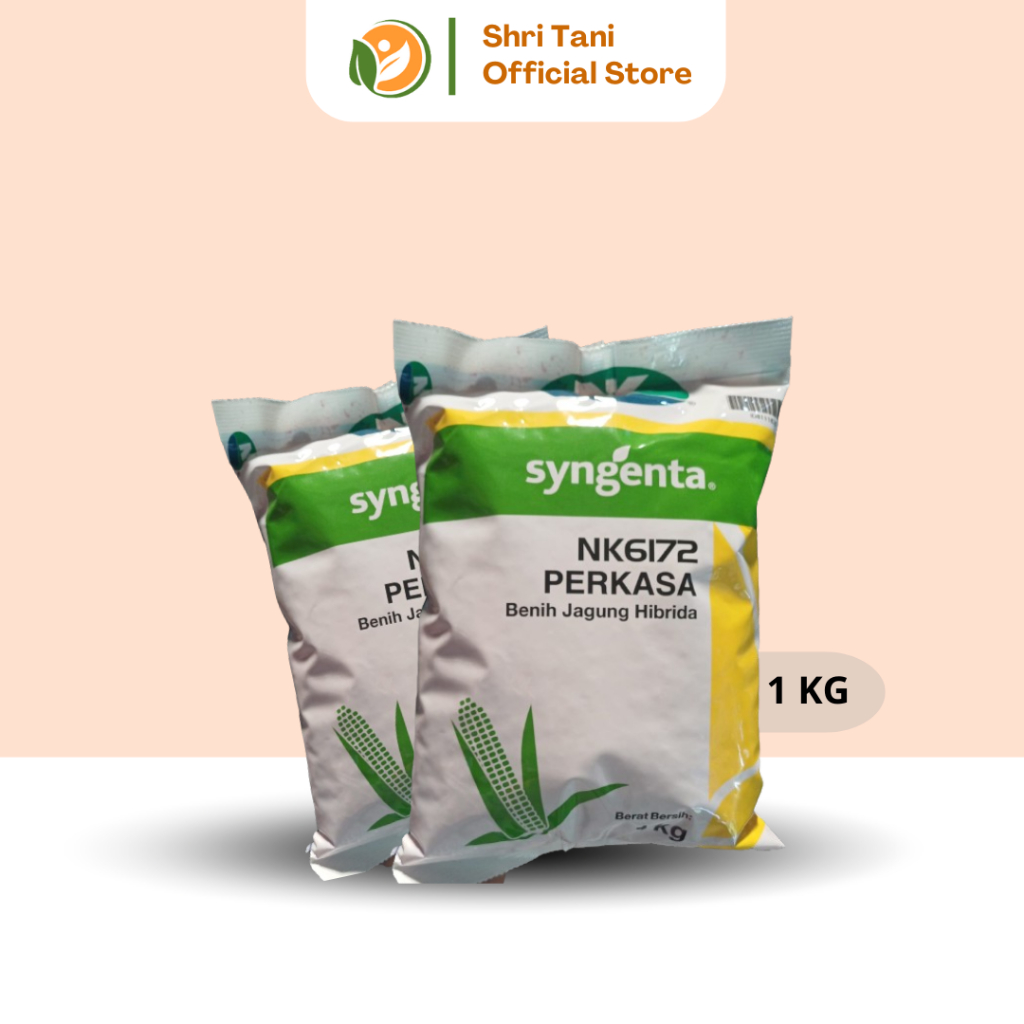 Benih Jagung Syngenta NK6172 Perkasa 1Kg (Original) | Benih Jagung Hibrida | Syngenta Indonesia